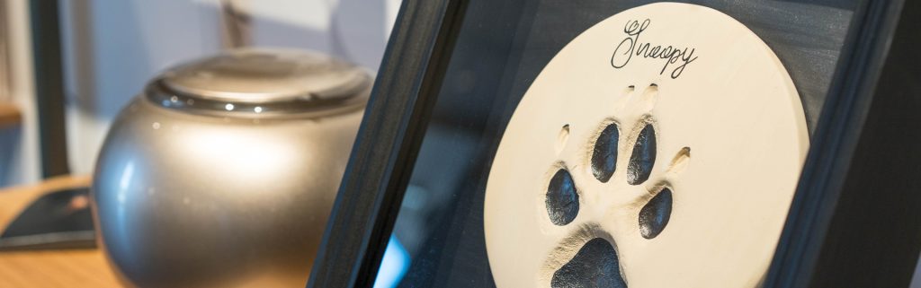 Tod des Hundes, Hund gestorben