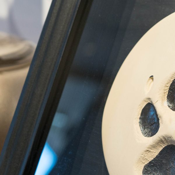 Tod des Hundes, Hund gestorben