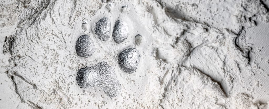 Tier im Urlaub verstorben