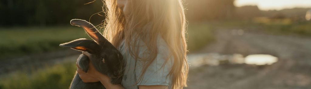 hitzetipps für haustiere