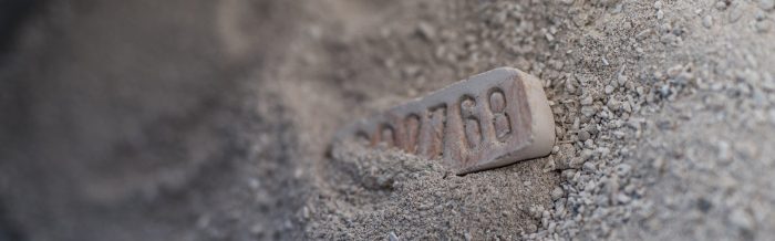 Einaescherung von Hunden