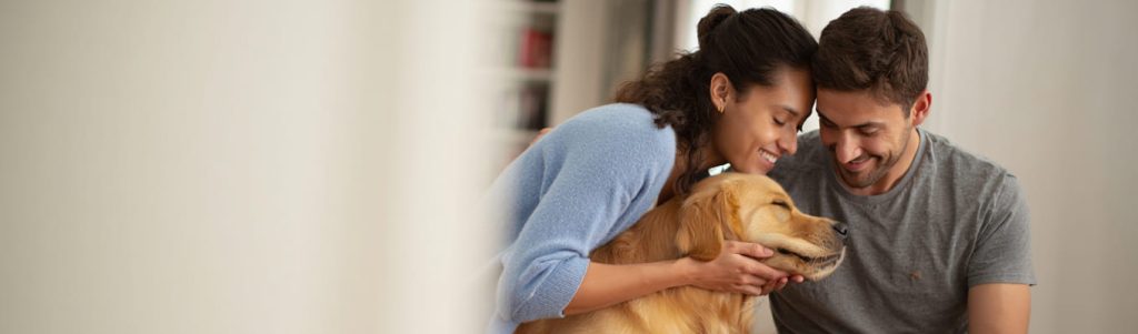 glückliches paar mit ihrem hund, haustiere