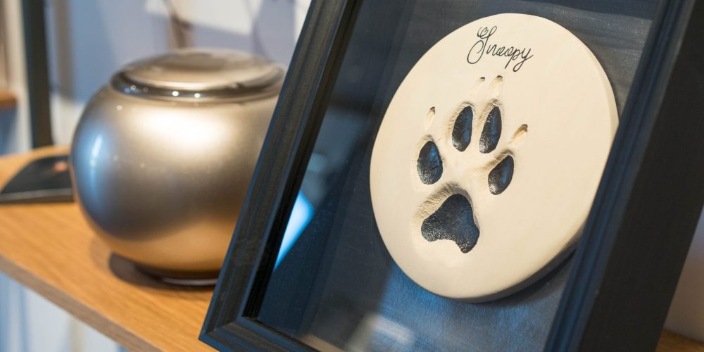 fertigung von pfotenabdruecken