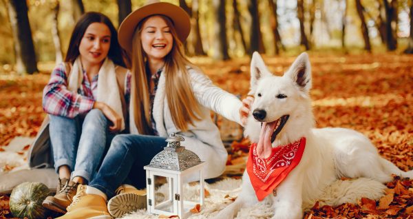 frauen mit hund