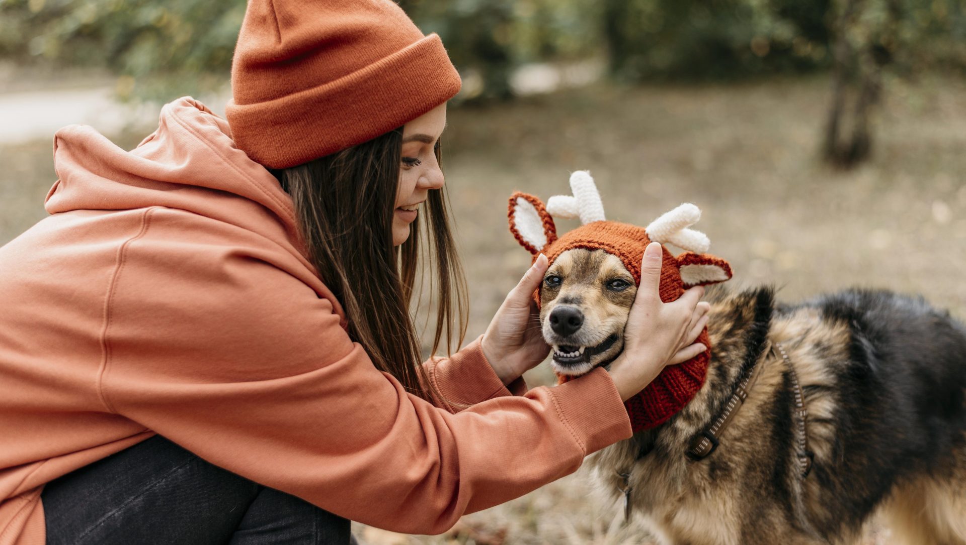 herbst mit haustieren