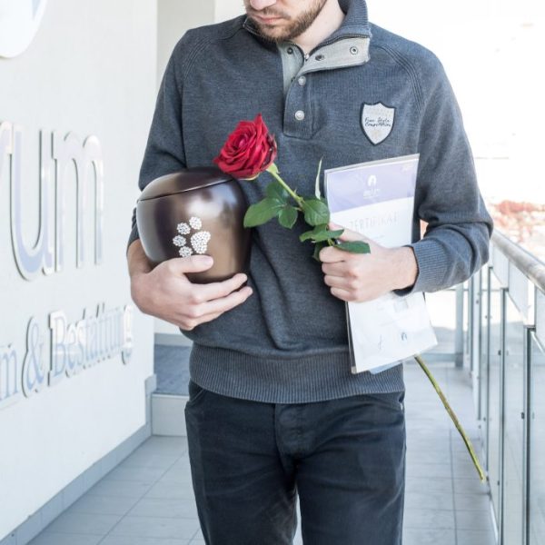 Ein rauender Haustierbesitzer mit Rose und Urne.