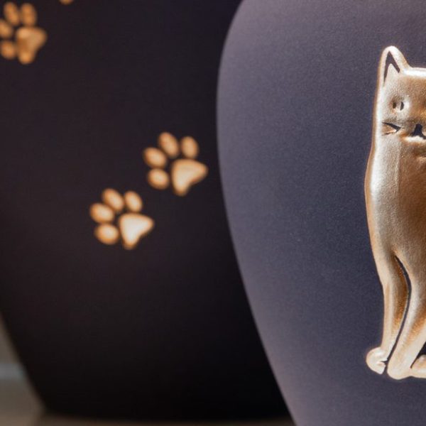Einäscherung von Katzen