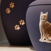 Urne für Katze