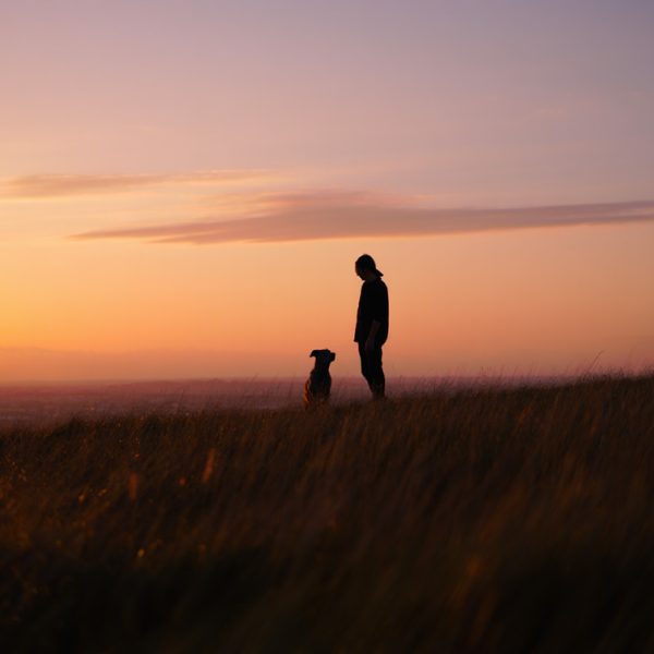 b054afea-1f0e-41f0-be05-d7e0483504b7-web