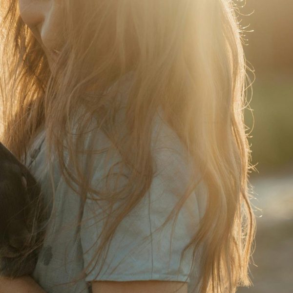 hitzetipps für haustiere