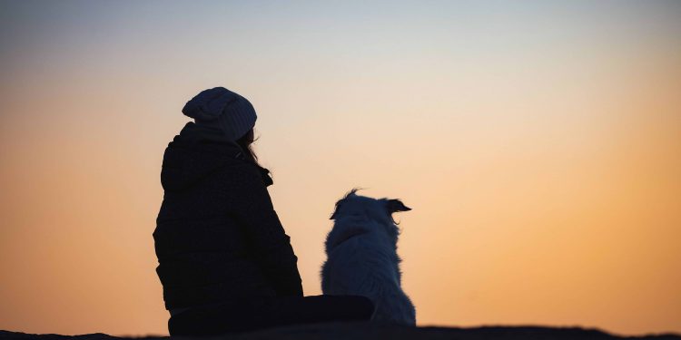 Hund mit Besitzer im Sonnenuntergang